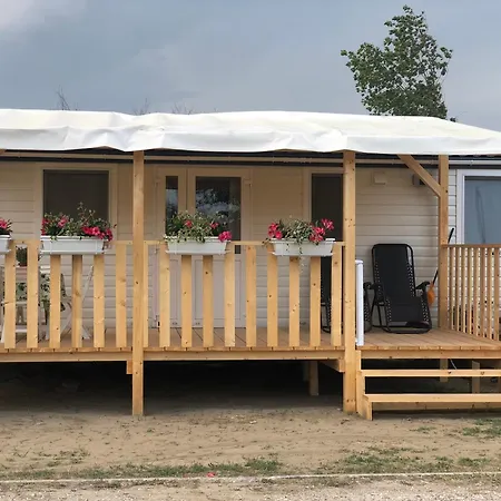 Campsite Tiny House On The
