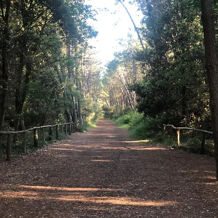 Tiny House On The Кемпинг *