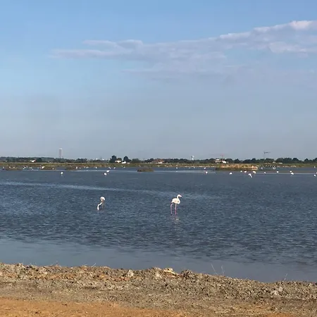 Кемпинг Tiny House On The