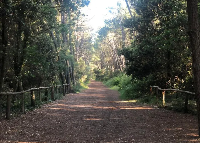 Tiny House On The Campsite *