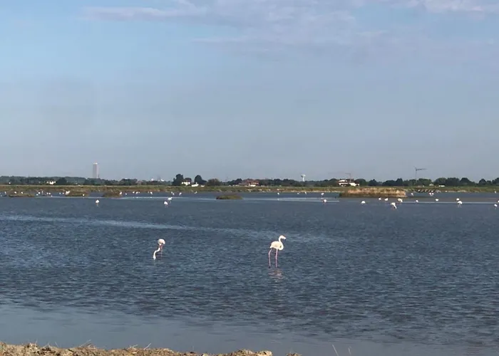 Campsite Tiny House On The